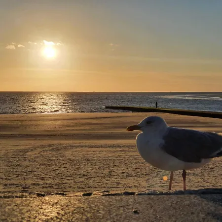 Διαμέρισμα Huus *